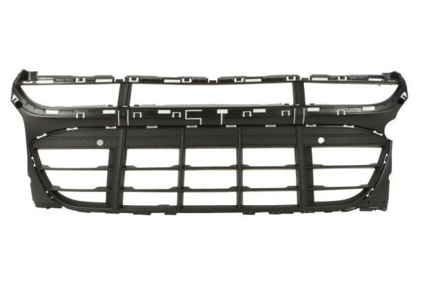 Porsche Radiateurgrille