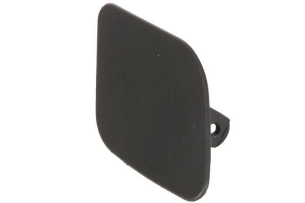 Bmw Plaat, bumper