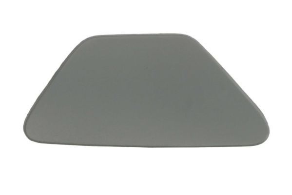 Bmw Plaat, bumper