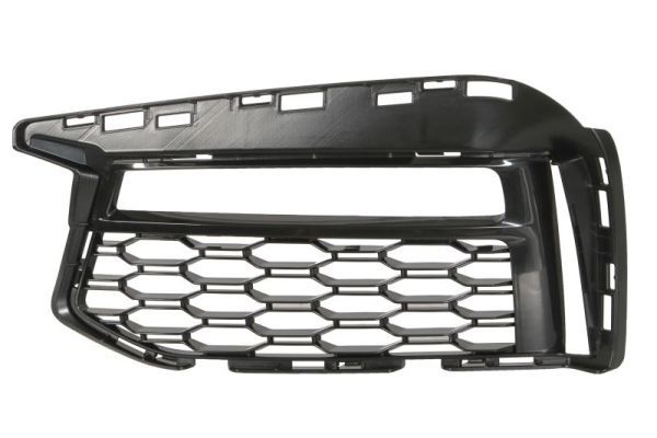 Bmw Ventilatiegrille, bumper