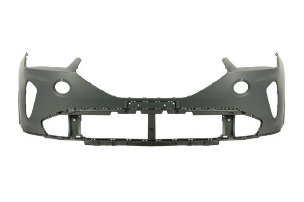 Cupra Bumper