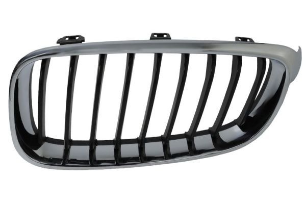 Bmw Radiateurgrille