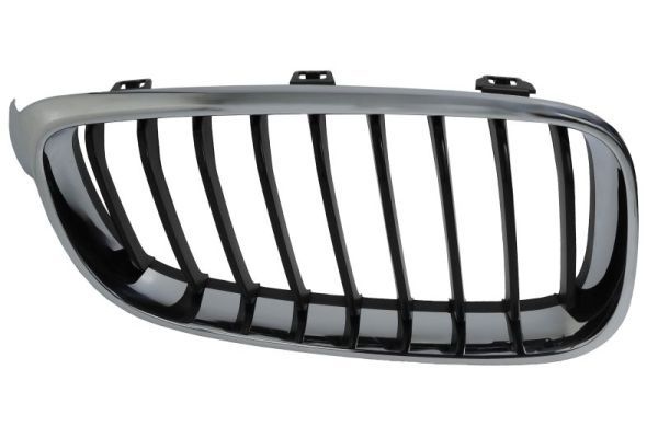 Bmw Radiateurgrille