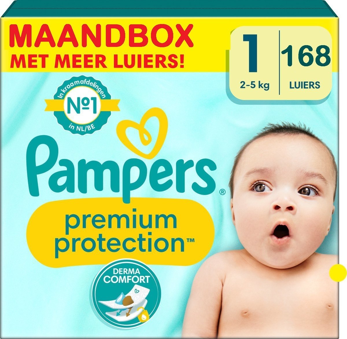 Pampers  Premium Protection - Maat 1 - Maandbox - 168 stuks - 2/5KG