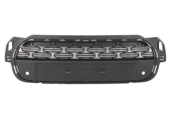 Citroen Radiateurgrille