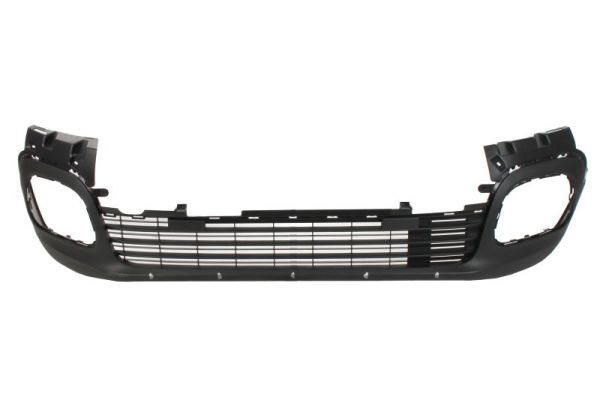 Citroen Bumper