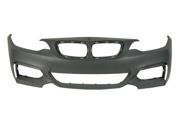Bmw Bumper