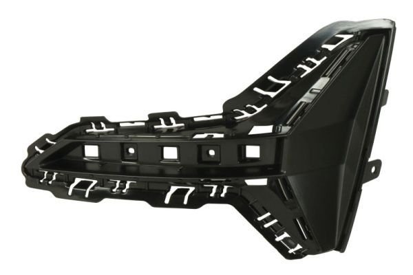 Bmw Ventilatiegrille, bumper