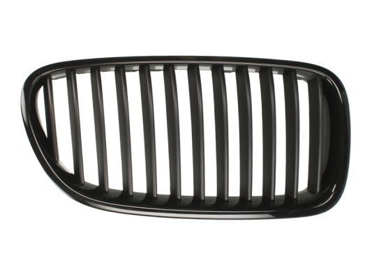 Bmw Radiateurgrille