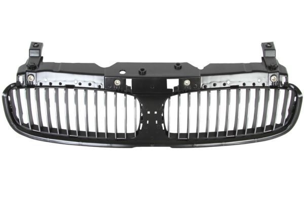 Bmw Radiateurgrille