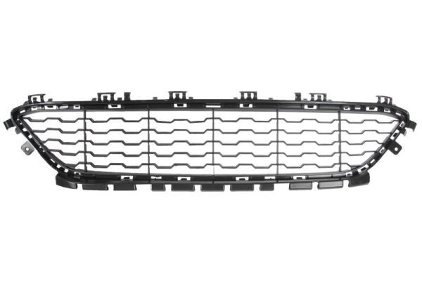 Bmw Ventilatiegrille, bumper