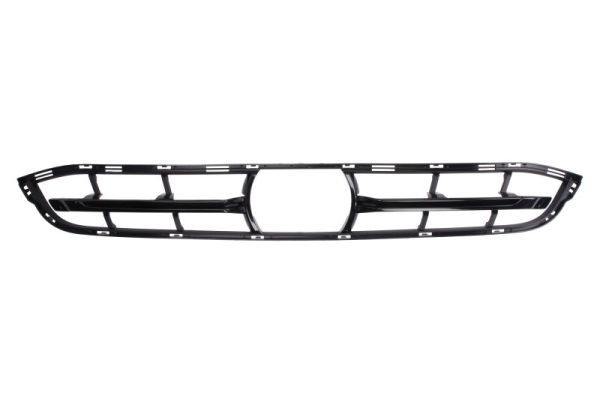Bmw Ventilatiegrille, bumper