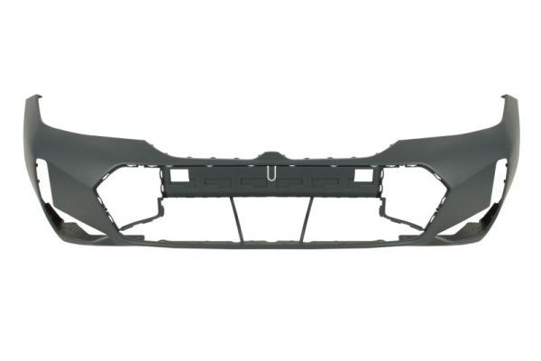 Bmw Bumper