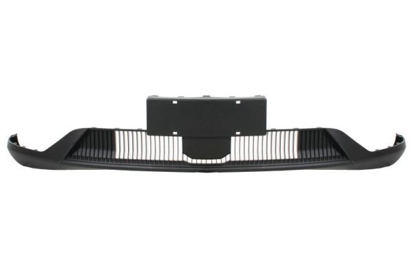 Baic Bumper