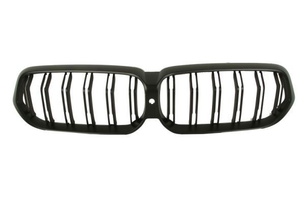 Bmw Radiateurgrille
