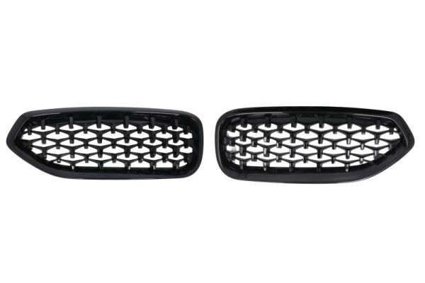 Bmw Radiateurgrille