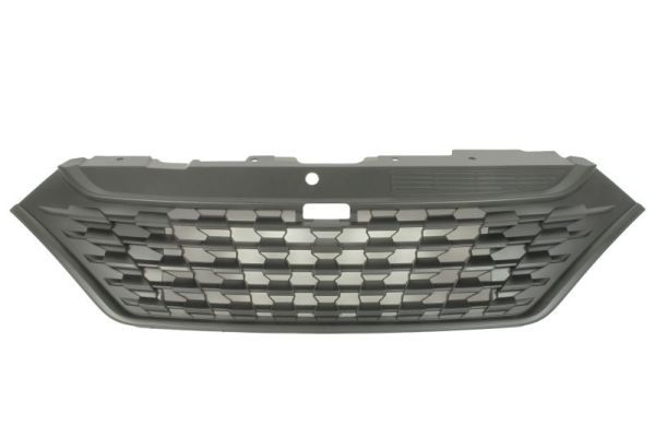 Iveco Radiateurgrille