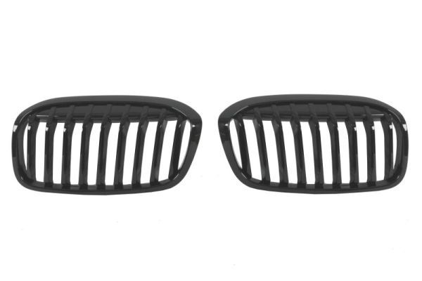 Bmw Radiateurgrille