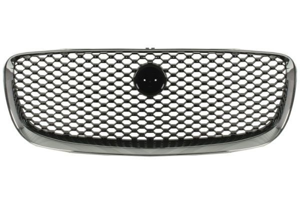 Jaguar Radiateurgrille