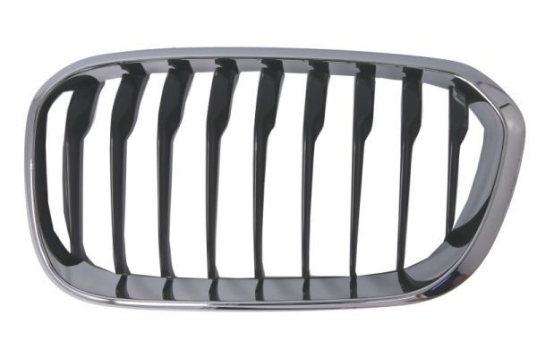 Bmw Radiateurgrille