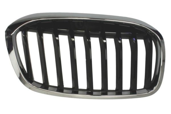 Bmw Radiateurgrille