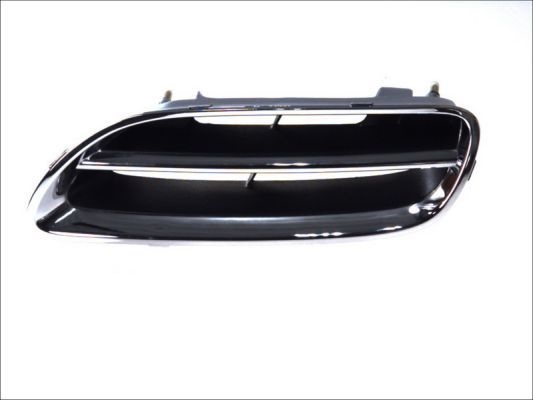 Nissan Radiateurgrille