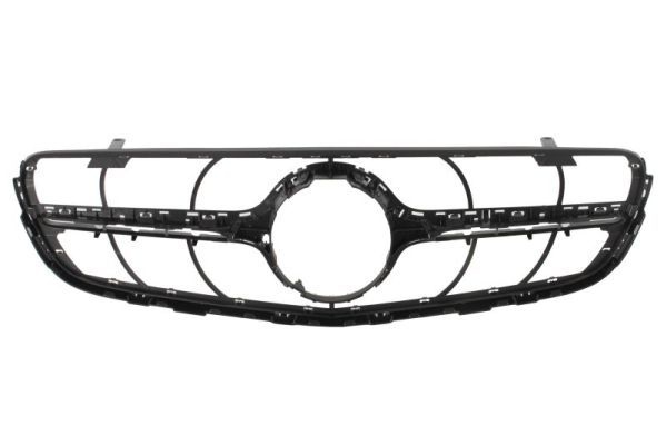 Mercedes-Benz Radiateurgrille