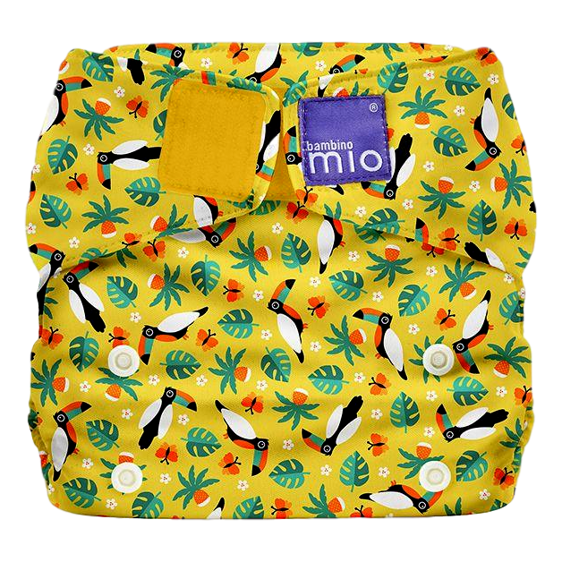 Bambino Mio solo - Toucan