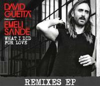 David Feat. Sand,Emeli Guetta What I Did For Love