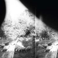 Godspeed You! Black Emperor: Asunder,Sweet And Other Distres