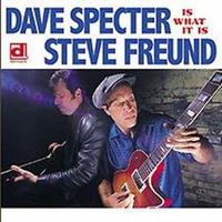 Dave Specter & Steve Freund - Is What It Is