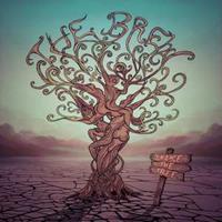 Jazzhaus Records Shake The Tree - Brew