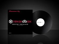 pioneerdj Pioneer DJ Control Vinyl RB-VS1-K