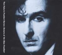 Tav Falco & His Panther Burns - Return Of The Blue Panther plus Midnight In Memphis (2-CD)
