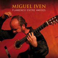 Miguel Iven Flamenco entre amigos