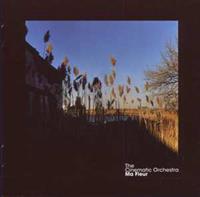 The Cinematic Orchestra - Ma Fleur CD