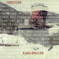 Karl Seglem Ossicles (LP)