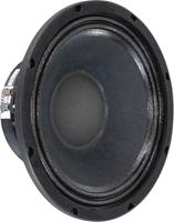 Visaton PAW 25 10-inch speaker, 8 ohms