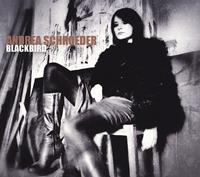 Andrea Schroeder Schroeder, A: Blackbird
