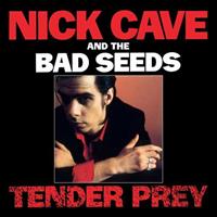Nick & The Bad Seeds Cave Tender Prey
