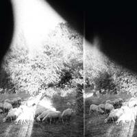 Godspeed You! Black Emperor Asunder,Sweet And Other Distress