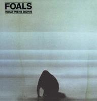 Foals What Went Down