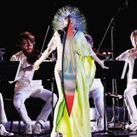 Björk Vulnicura Strings