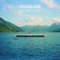 Kodaline - In A Perfect World LP
