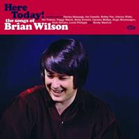 Various - Here Today - The Songs Of Brian Wilson (LP, 180g Vinyl)