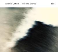 Avishai Cohen Into The Silence