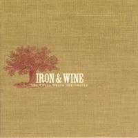 Iron And Wine The Creek Drank The Cradle