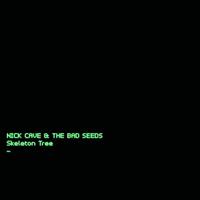 nickcave&thebadseeds Nick Cave & The Bad Seeds - Skeleton Tree - Vinyl