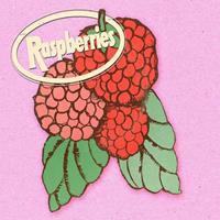 Raspberries Classic Album Set