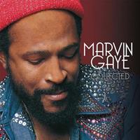 Marvin Gaye - Collected (2 LP)